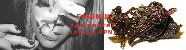spice Бородино