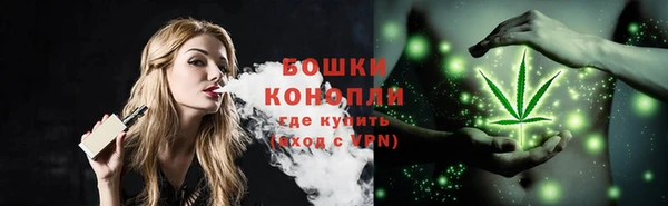 МДПВ Богданович