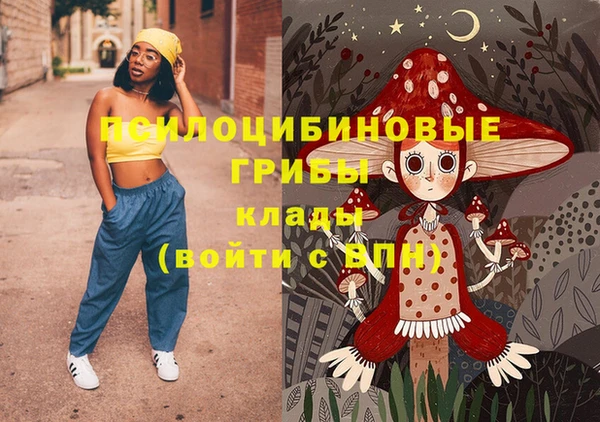 ПСИЛОЦИБИНОВЫЕ ГРИБЫ Богородицк