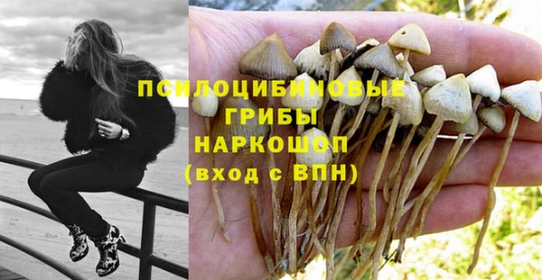 МДПВ Богданович