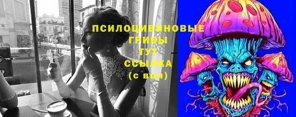 МДПВ Богданович