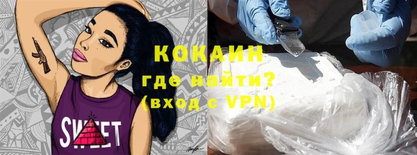 индика Бугульма