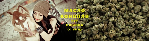 крисы Горняк