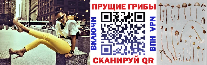 Псилоцибиновые грибы Psilocybine cubensis  закладка  Сосногорск 